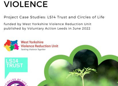Learning With Communities About Reducing Serious Violence